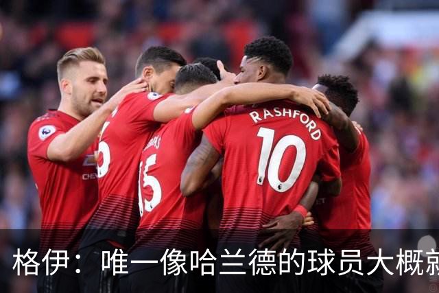 格伊：唯一像哈兰德的球员大概就是凯恩 欧战我们或许要少些激进